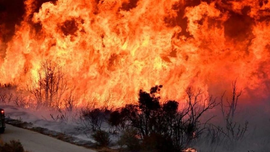 SABC_News_Veld-fires_Reuters-750x423